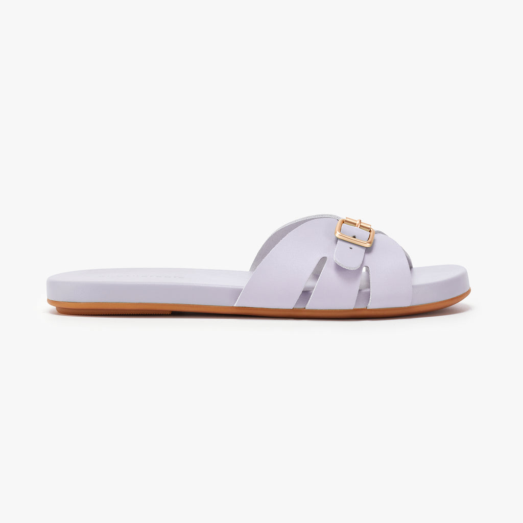 Sunday Slides - Lavender