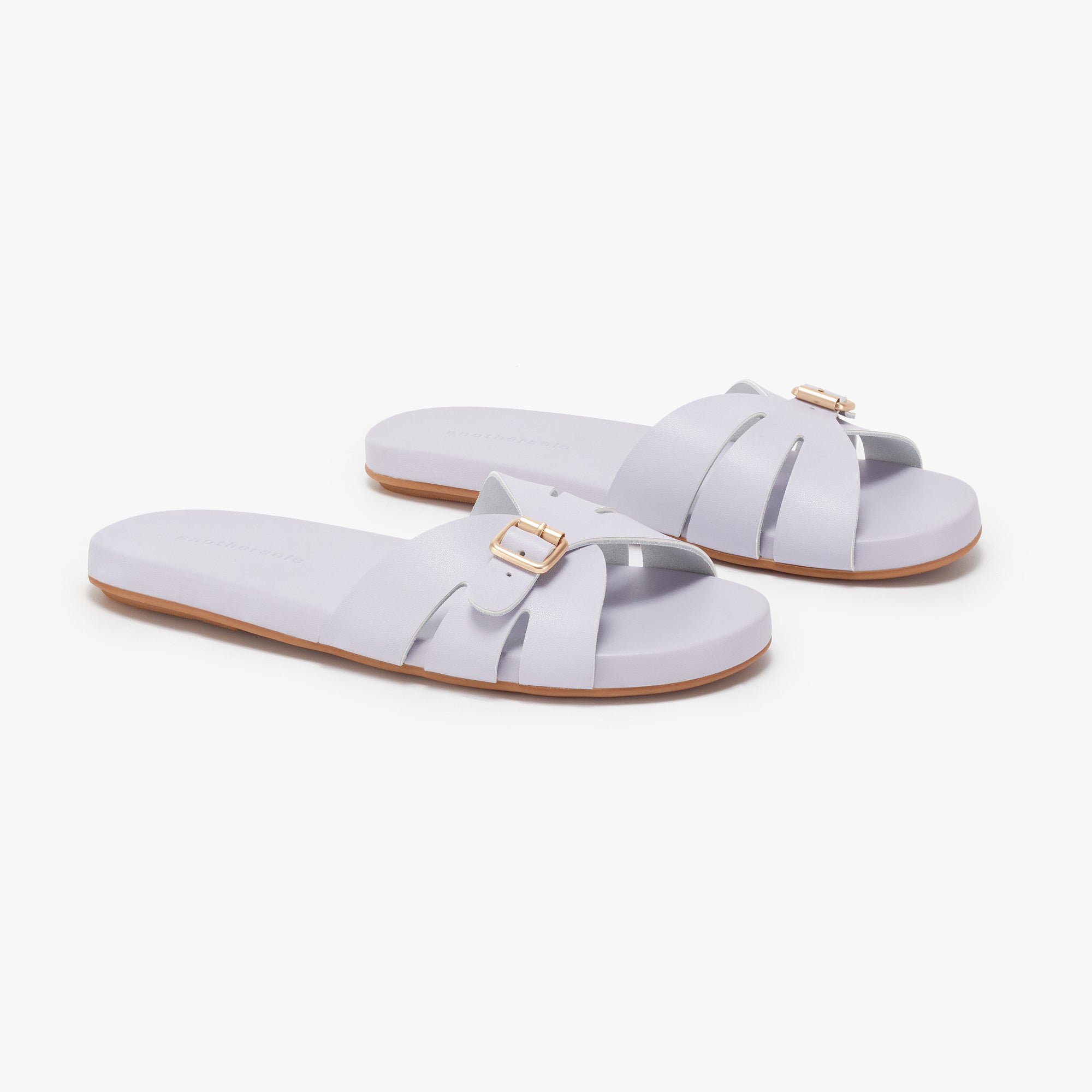 Sunday Slides - Lavender