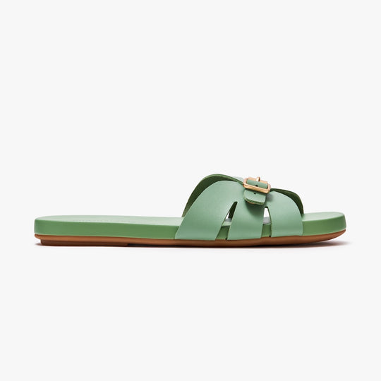 Sunday Slides - Fern Green
