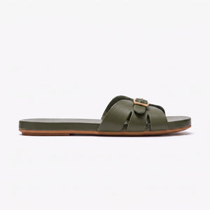 Sunday Slides - Olive
